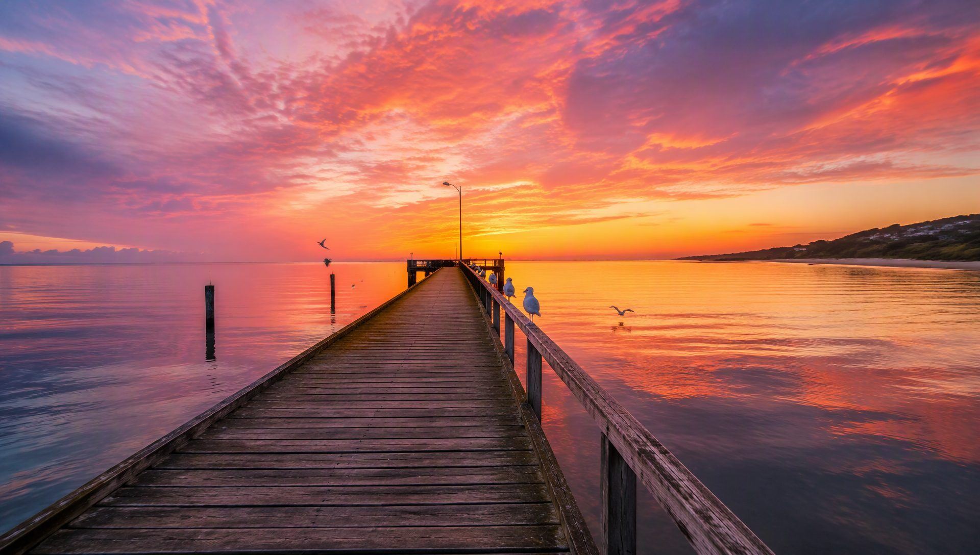 Exploring Frankston Foreshore and Mount Eliza Without a Car: A Local’s Weekend Guide